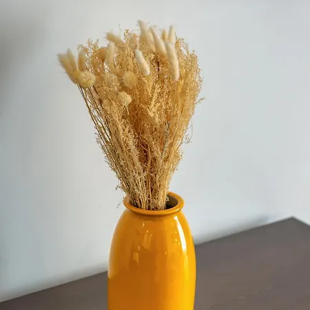 L'auréa Au Centre De